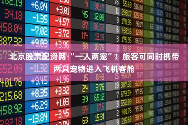北京股票配资网 “一人两宠”！旅客可同时携带两只宠物进入飞机客舱