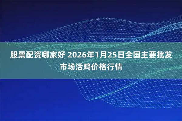 股票配资哪家好 2026年1月25日全国主要批发市场活鸡价格行情