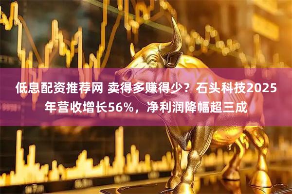 低息配资推荐网 卖得多赚得少？石头科技2025年营收增长56%，净利润降幅超三成