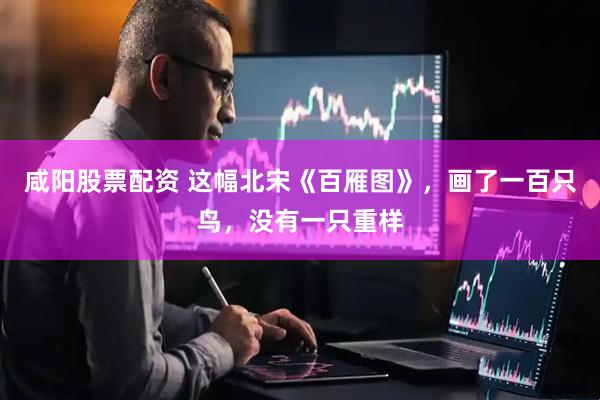 咸阳股票配资 这幅北宋《百雁图》，画了一百只鸟，没有一只重样
