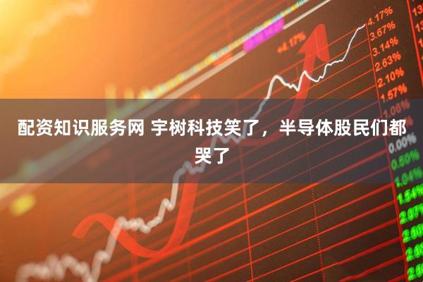 配资知识服务网 宇树科技笑了，半导体股民们都哭了